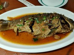 红焖黄河鲤-临潼印象·特色陕菜