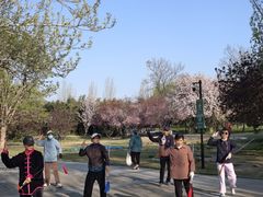 -丰台花园