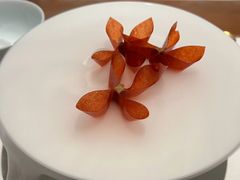 -觀芷隐轩