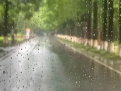 -黄海国家森林公园