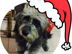 -老宅原住民沙茶面精品小吃(龙头路店)