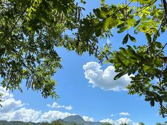 -楠溪江风景名胜区