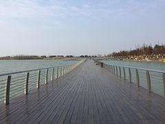 -滆湖低碳生态公园