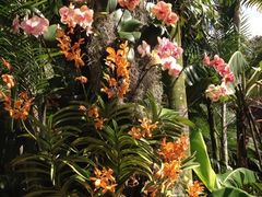 iphone_upload_pic-新加坡飞禽公园
