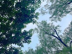 -皇家御河游(紫御湾码头)
