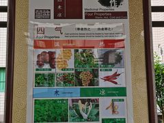 -广州神农草堂中医药博物馆