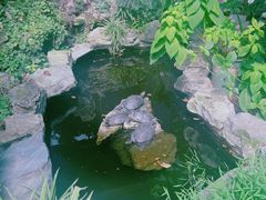 -谷咖啡·鲜花绿植花园餐厅