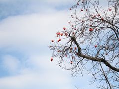 -秦始皇帝陵博物院(兵马俑)