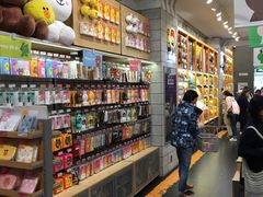 -line friends(明洞旗舰店)