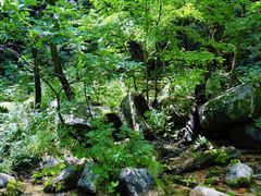 -玉渡山自然风景区