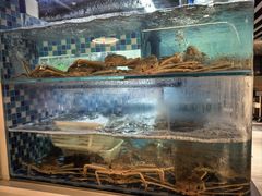 -碗中海·蒸汽海鲜·桑拿鸡(岭南天地店)