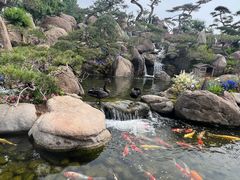 -罗红摄影艺术馆