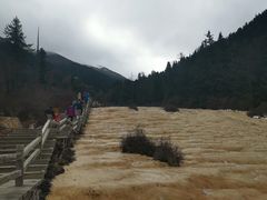 -黄龙山原始森林景区