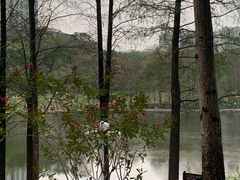 -深圳龙潭公园
