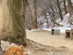 -终南山南五台景区