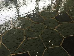 -汤乐汇•足道•SPA生活馆