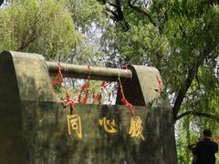 -白洋淀景区