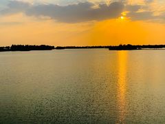 -贡湖湾湿地公园