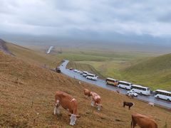 -新疆那拉提国家旅游度假区