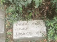 -水濂山森林公园