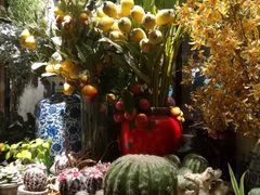 -范设计花园餐酒咖·中西餐·咖啡厅·酒馆
