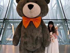 -济州岛泰迪熊博物馆