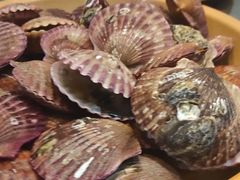 扇贝花蛤-龍歌自助小火锅(崂山丽达店)