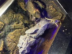 -重庆欢乐海底世界