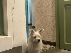 -绿房子方寸咖啡(星海名城店)