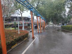 -水果湖儿童公园