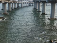 -星海湾跨海大桥