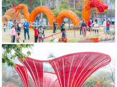 -广州市白云山风景名胜区