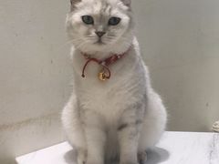 -藏猫猫咖啡主题馆(中央大道店)