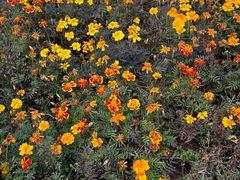 -咸阳湖景区-统一广场