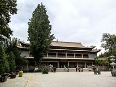 -张掖大佛寺景区