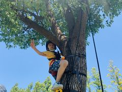 -蕃茄田艺术(普陀长风大悦城中心)