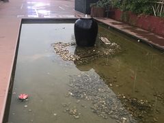 -梧桐餐厅(泉城路店)