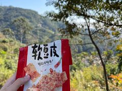 -天鹿湖森林公园