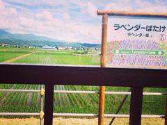 iphone_upload_pic-富田农场
