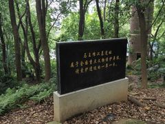 -马王堆汉墓遗址