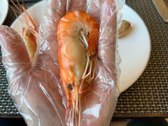 -喜来登酒店-盛宴标帜海鲜自助