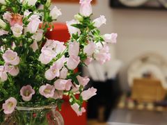 -小懒桔蛋糕店(将军街店)
