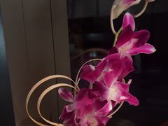 -王府井文华东方酒店-紫膳餐厅