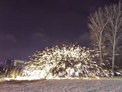 -长春世界雕塑园冰雪艺术天地