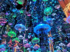 -成都梵高星空艺术馆(春熙路旗舰店)