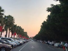 -大湾区中央湿地公园