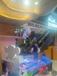 -卡通尼·Safari非洲探索乐园·生日会(金桥国际商业广场店)