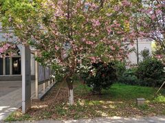 -长沙市青少年宫