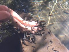 -水底山庄园温泉