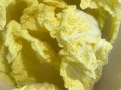 -严厨老坛酸菜鱼(吴江万宝店)